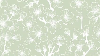 Fototapeta premium Green and white seamless patterns background with flowers sakura. Botanic tropical wallpaper with daisies flower and leaves. 