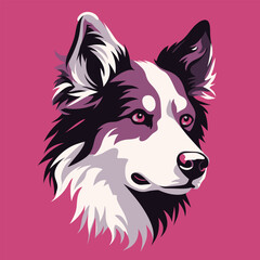 Australian shepherd portrait. Vector illustration in pink background.