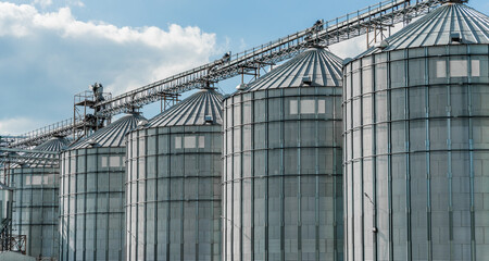 Fototapeta premium Row of silvery grain silos with peaked roofs are connected by a conveyor system. Light blue sky filled with fluffy white clouds is in the background