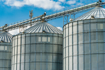 Tall, corrugated metal Grain Silos stand at a Farm, connected by a metal conveyor system. Blue sky with scattered white clouds fill the background © SMK