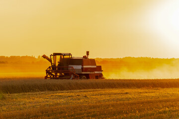 Obraz premium A combine harvester works in a field of crops, likely wheat or grain, under a golden sunset, creating dust clouds in the air on the rural farmland