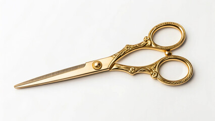 old scissors isolated on white