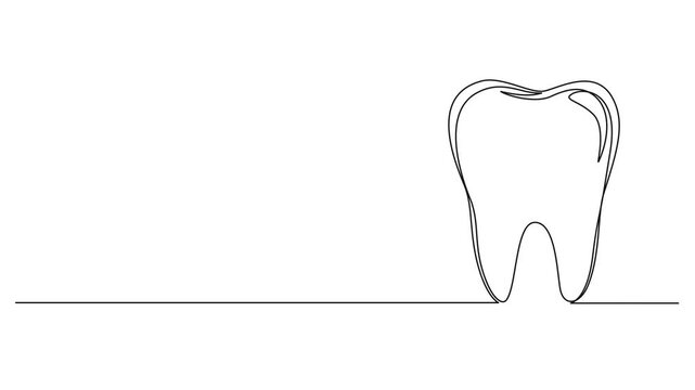 animated continuous single line drawing of human tooth, line art animation