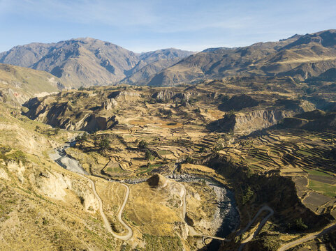 Aerial view of golden terraced fields cascade down steep slopes towards a winding river snaking through Colca Canyon, framed by rugged mountains, Chivay, Peru.