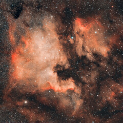 Nordamerika Nebel, NGC7000 in Bi-Color