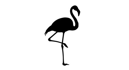 Obraz premium Flamingo silhouette
