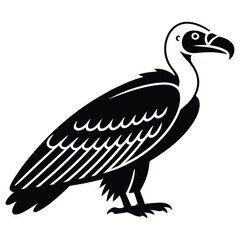 vulture