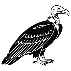 vulture