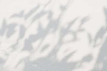 Abstract leaf shadow and light blurred background. Natural leaves tree branch shadows and sunlight dappled on white concrete wall texture for background wallpaper and design, shadow overlay effect