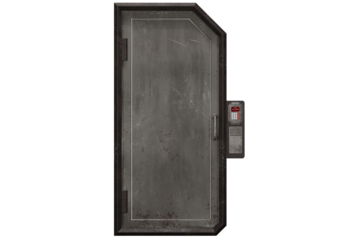 Security door modern