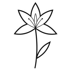 triteleia hyacinthina line art vector illustration  on white