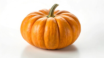 Obraz premium pumpkin isolated on white background