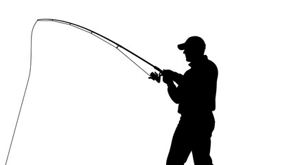 Silhouette of person fishing