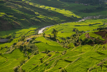 Rice fields on terraces of Mu Cang Chai, Vietnam.