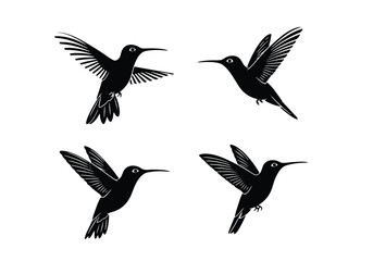Obraz premium Hummingbird silhouettes in flight, isolated on white background