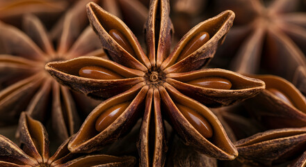 Captivating Close-up of Aromatic Star Anise Pods, Showcasing Their Unique Star Shape and Rich Brown Hue, Essential Spice for Global Cuisine.