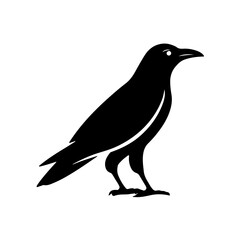 Fototapeta premium raven clipart