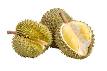 Fresh exotic durian fruit with spiky shell and creamy yellow flesh on white background closeup