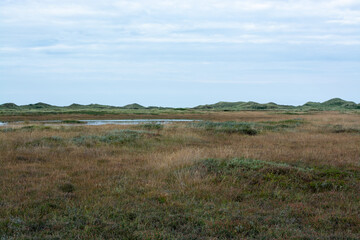 North Sea coast in Denmark with cloudy sky and green landscape in the foreground