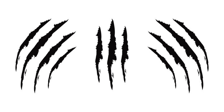 Animal Claw Scratch Marks Set – Beast, Tiger & Cat Paw Tear Vector Silhouettes.