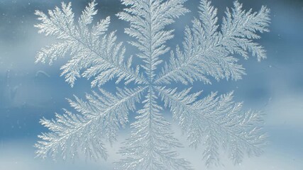 Intricate Ice Crystal Formation on Glass - A detailed close-up showcases a stunning ice crystal pattern forming on a glass pane. - Powered by Adobe