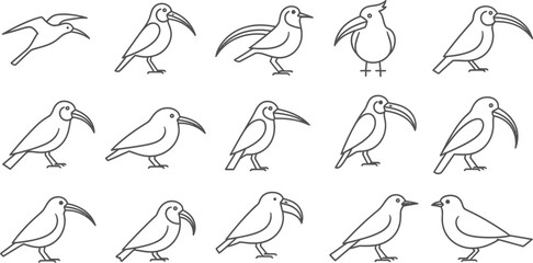 Collection of handdrawn ibis bird illustrations, featuring various poses and angles of this elegant bird with its distinctive curved beak