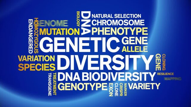 Genetic Diversity animated word cloud-text design animation tag kinetic typography seamless loop.