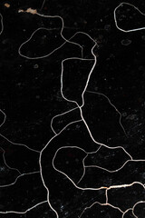 Cracked surface abstract background black and white