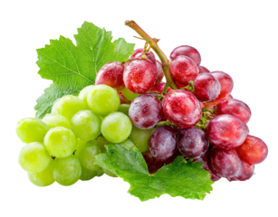 Fresh red and green grapes glistening with water droplets