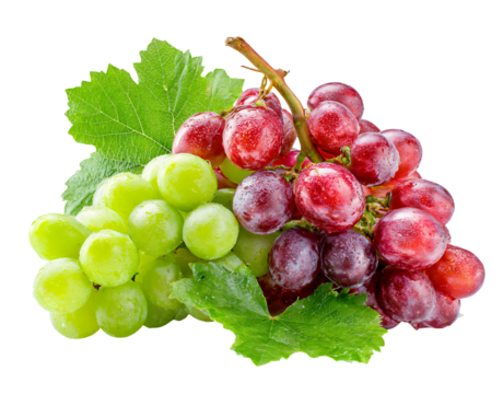 Fresh red and green grapes glistening with water droplets