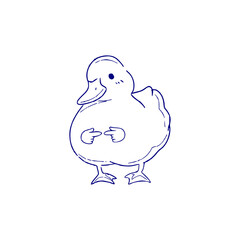 adorable baby duck with shy pose