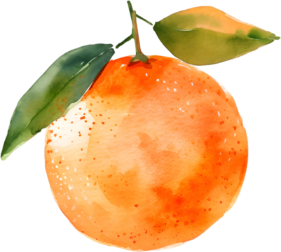 Watercolor Sliced Orange Illustration