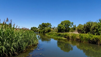 Obraz premium Picturesque tranquil river scene with lush vegetation and reflective water
