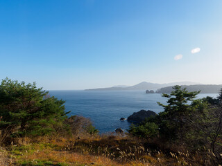 高い場所から海を眺める