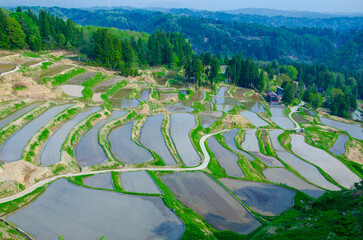 　新潟県小千谷市　田植え前の外之沢の棚田