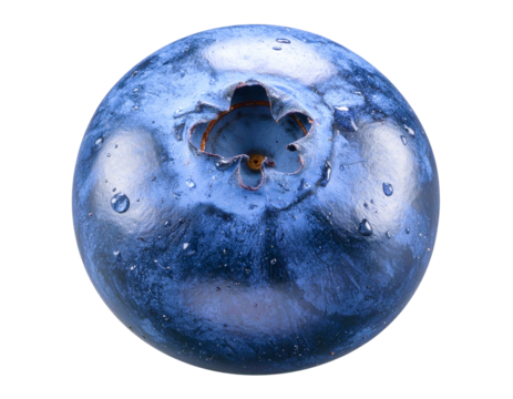  Fresh Blueberry Close-Up with Water Droplets, Isolated Transparent Background PNG