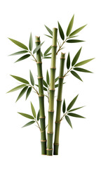 Obraz premium Green Bamboo Stalks with Leaves, 3D Realism Design Element on Transparent Background