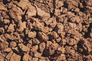Exploring the textures of earthy soil during a sunny afternoon in a rural setting, highlighting the beauty of nature's foundation