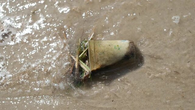 Disposable drinking cup with algae and trash thrown by a wave onto a sandy shore on the beach. Video about water pollution.