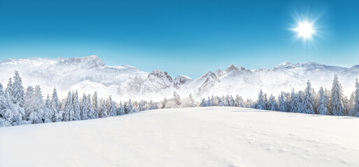 Sunny Snowy Mountain Landscape