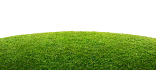 Poster de jardin Prairie, marais green grass field isolated on transparent background  © andreusK