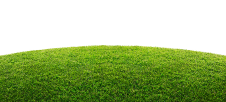 green grass field isolated on transparent background