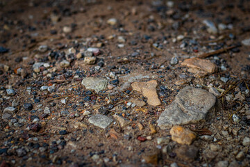 Close-up of various sized stones, gravel, and debris scattered on a dry dirt trail in a natural...