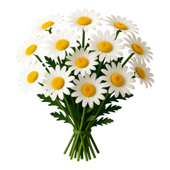 Obraz premium White Daisy Bouquet with Yellow Center, Transparent Background, 3D Realism Cutout