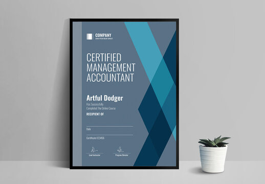 Professional Certificate Template for Training Completion