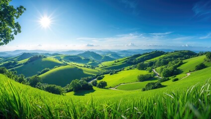 Fototapeta premium Lush green hills and valleys under bright sunshine on a clear day, showcasing vibrant natural landscape views.