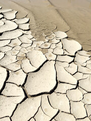 Parched Cracked Earth Surface in a Dry Lakeshore Landscape