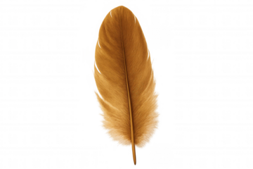 Detailed rendering of a single brown feather with transparent background, ideal for design projects needing a touch of nature