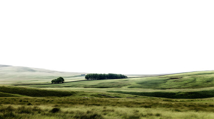  vast, serene landscape featuring rolling green hills  isolated on white background