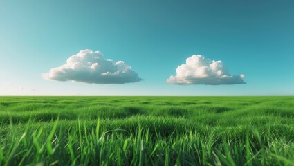 Fototapeta premium A vast green field under a clear blue sky with two fluffy clouds.